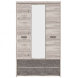 Шафа с дзеркалом 3D4S Jazz Mebelbos